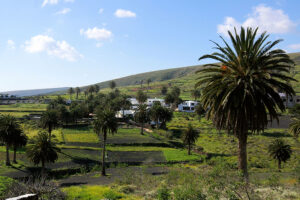 Apartment-Haiku-Haria-Lanzarote-Finca-entre-palmeras